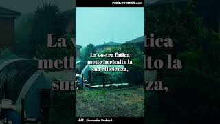 l'insopportabile felicità altrui