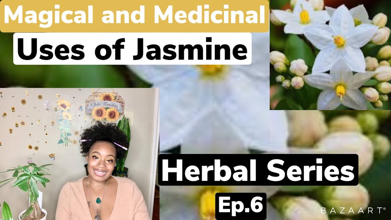 Magical & Medicinal Uses of Jasmine Herbal Series 🌿 Ep. 6 YouTube