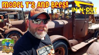 200+ Model T's ~ Swarm of Bees, Tiniest Church, & Harley Repairs & Upgrades by Nomadic Fanatic 40,309 views 1 month ago 19 minutes
