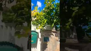 Coslada, Madrid #visitmadrid #coslada #adventure #adventuretravel #adayinmylife #viralvideo #lemon