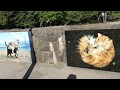 猫展