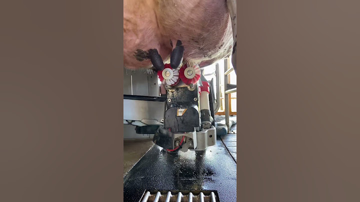 This is how they get milk from cows in Japan 👏