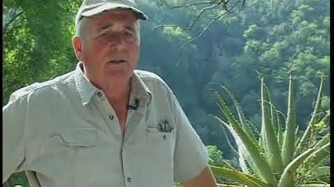 1 Alien invasive plants in South Africa