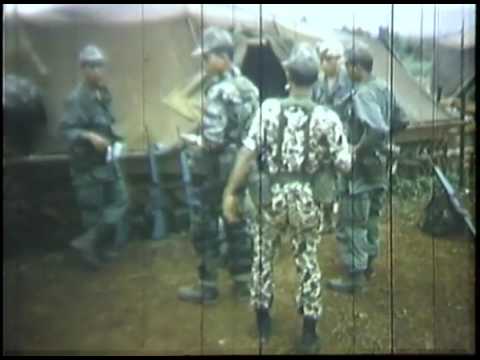 vietnam infantry 4th 1967 division pleiku