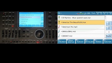 Using the Style Player Icon in Preferences -  Here is what each option does ?