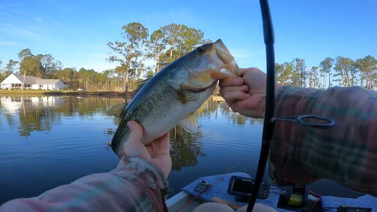Bass fishing 03/14/26 Hazlehurst Ga.