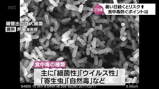 続く厳しい暑さ　食中毒を防ぐためのポイント　専門家に聞く