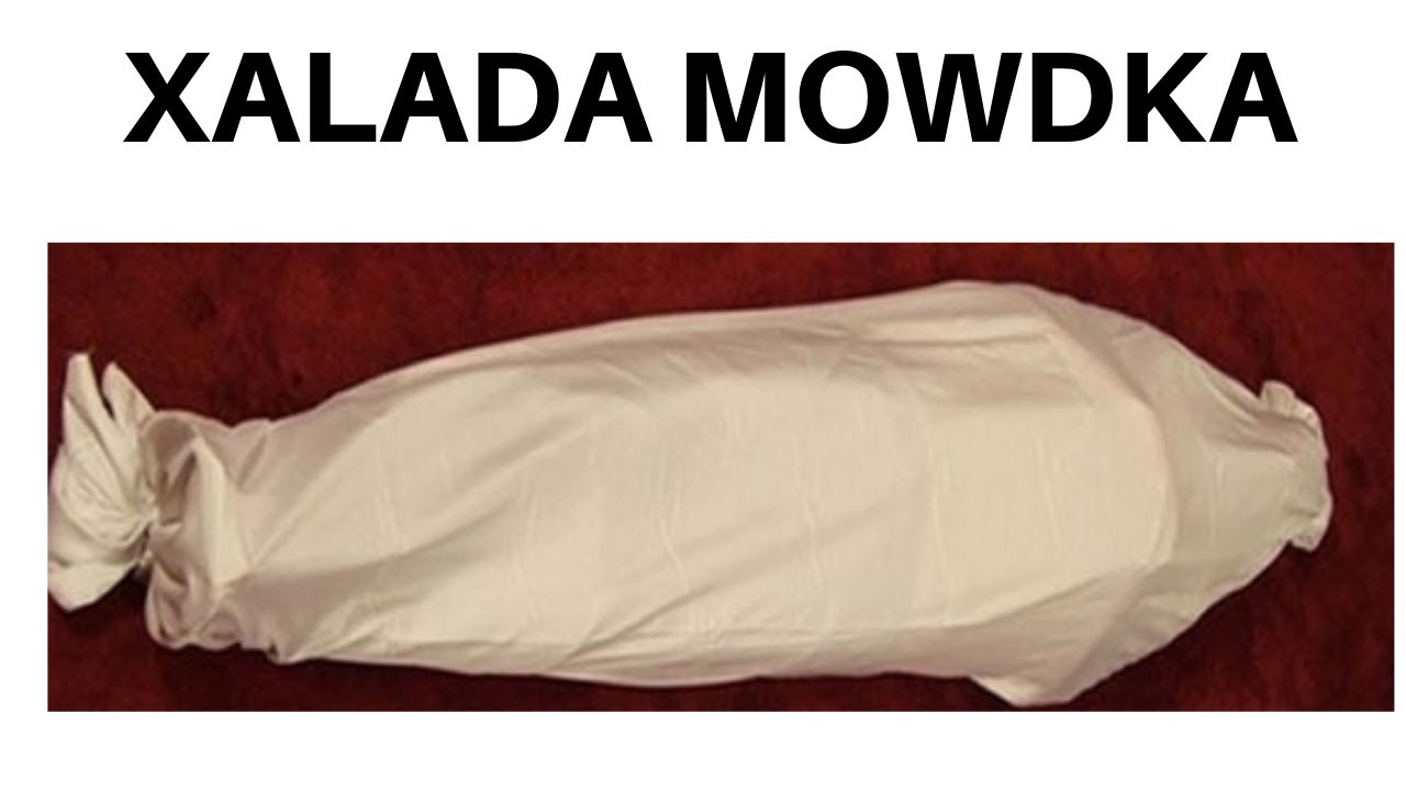 Mushukning notalari shivirlayapti.