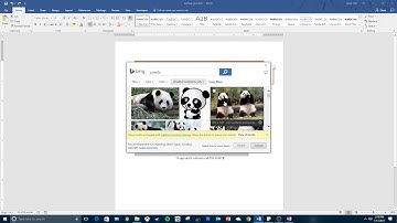 WDM1V7: Formatting Paragraphs and Characters [Word 2016]
