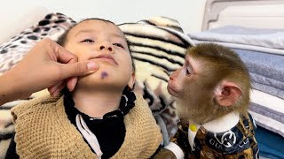 Download Lagu Monkey Kaka and mom are worried about Diem because her chin hurts. MP3 Download Lagu Monkey Kaka and mom are worried about Diem because her chin hurts. MP3