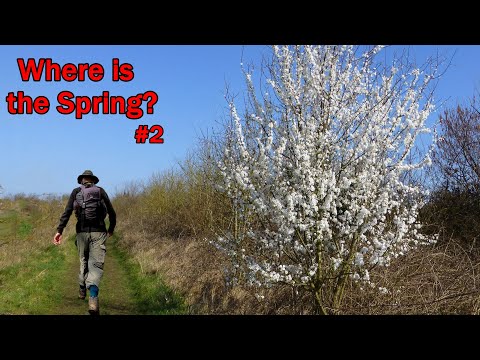 Trail Walking: Searching for Spring #2