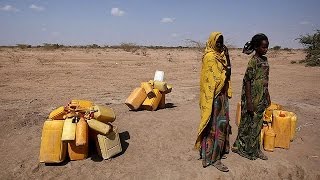 Etiyopya'da kuraklık: Tehlike çanları çalıyor