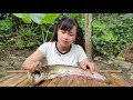 Girl Cooking Catfish In Forest And Eating Delicious #55 | Cooking VN