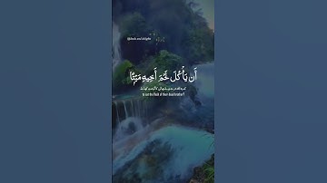 سورة الحجرات ، تلاوة جميلة ...  #history #اكسبلور #دويتو #قصص