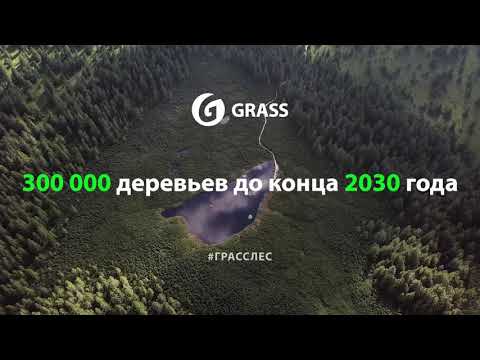 ВОССТАНОВИМ ЛЕСНЫЕ РЕСУРСЫ ВМЕСТЕ | 300000 деревьев до 2030 года| GRASS