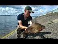 Ловля Крупного ЛЕЩА. Матырское водохранилище. (LiveFishing)