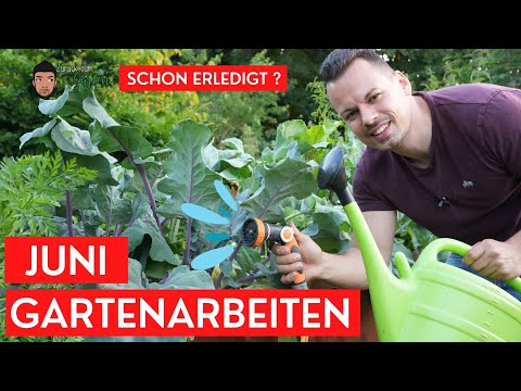 Video: Hängekorb Wasserbedarf: Wann und wie man einen Hängekorb wässert