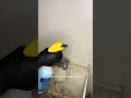 Minha irmã desapareceu… mas o pior veio depois#shorts #historia #plotwist #reviravolta #miste #viral