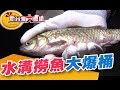 挑戰高難度神準釣鰲王！夜市搶錢新小吃《新台灣大體驗》第194集