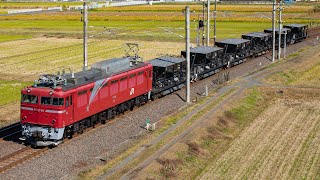 秋晴れの中を行く！EF81-98 水戸工臨 赤塚〜内原
