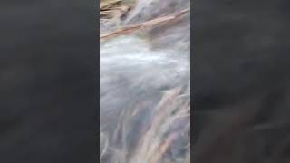 pvc pipe waterfall jesa seen in pipe shortsfeed viralvideo shortsviral khemavlog