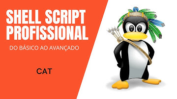 Shell Script profissional Mod.1 #17 - Cat: Concatenar e exibir o conteúdo de arquivos