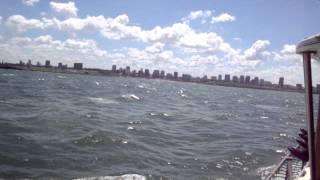 Buceo Con Dive Center Intersub Y Embarcacion Encuentros Mar Del Plata Banco De Afuera 12