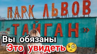 Тайган самый большой в Европе Сафари Парк львов Олег Зубков Человек Лев Крым