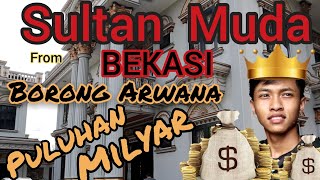 Borong Arwana Seharga Puluhan Milyar - Sultan mah Bebas