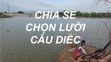 Chia sẻ lưỡi câu Diếc