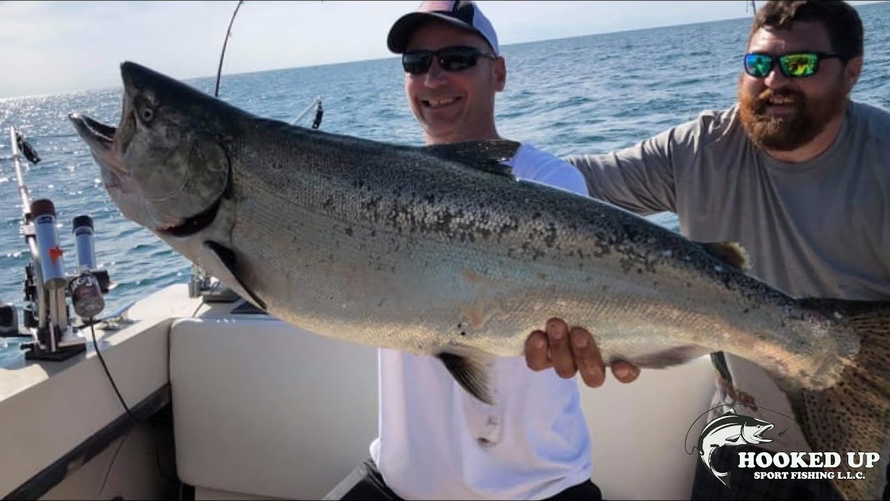 The "Hooked Up" Salmon Fishing Experience in the great lakes. BIG Fish