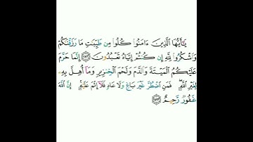 2 - سورة البقرة ١٧٢-١٧٣ - مشاري بن راشد العفاسي