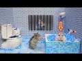 Hamsters escapes the awesome 5star luxury prison maze with bathtub for pets in real life