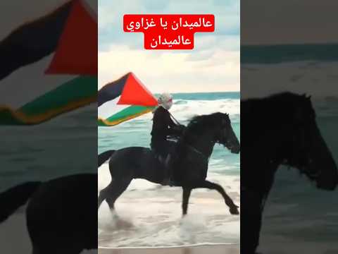 الميدان يا غزاوي عالميدان Shotrs