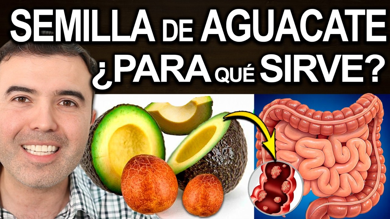 SEMILLA DE AGUACATE TODOS LOS DIAS - Para Que Sirve, Cómo Usarla Y Contraindicaciones