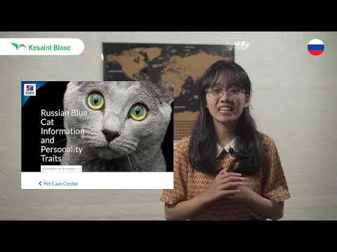 Video: Monumen untuk kucing di Rusia