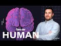 Understanding the Blood Brain Barrier