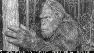 All the Clearest NEW Bigfoot Footage in One LONG Video! Information
