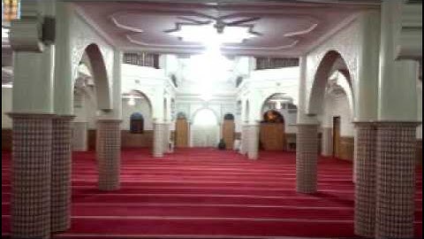 تلاوة من سورة البقرة - صلاة العشاء تلاوة مميزة