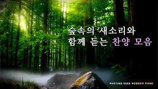 [🎹 3시간]🌿🦜🌳숲속의 새소리와 함께 듣는 찬양 모음 / Forest Birds Singing Sounds / CCM Piano Compilation / 치유 / ASMR