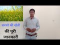 सरसों की फसल प्रबंधन || mustard crop management Kishan Seva