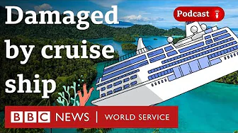 Can this coral reef be saved? - What in the World podcast, BBC World Service