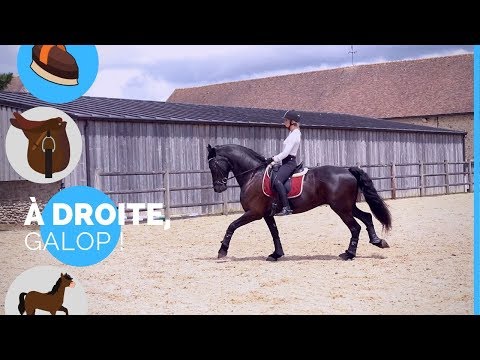 Vidéo: Dois-je m'asseoir au galop ?