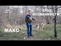 Макс. Особенность (уникальность) характера