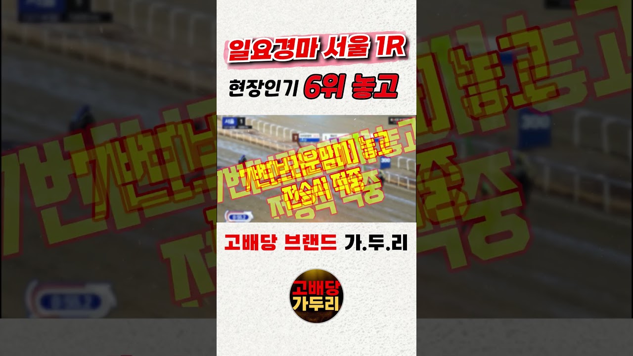 고배당 마필이 궁금해???🎯경마🟢 경마 고배당🟢 서울경마🟡부산경마🔵제주 경마