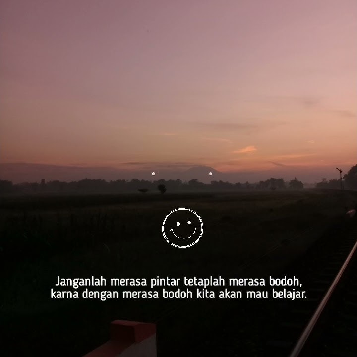 Tetaplah merasa bodoh//story wa 30 detik.