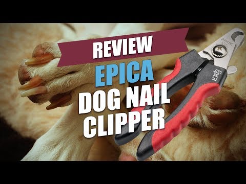 Epica Dog Nail Clipper Review (2018)