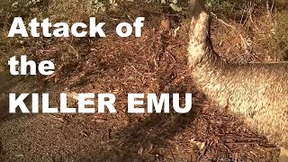 Attack of the Killer Emu