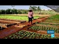 Cuba hacia una nueva agricultura