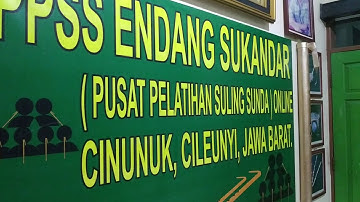PPSS Endang Sukandar - AYUN AMBING Instrumental